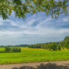 Landschaft im Sommer