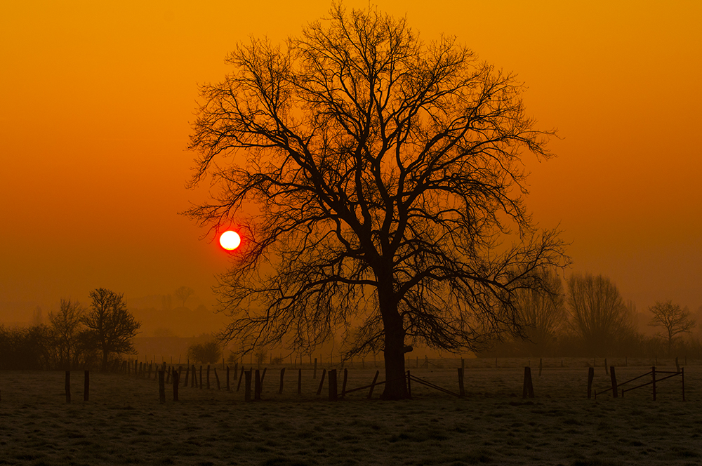 Landschaft im Sonnenaufgang