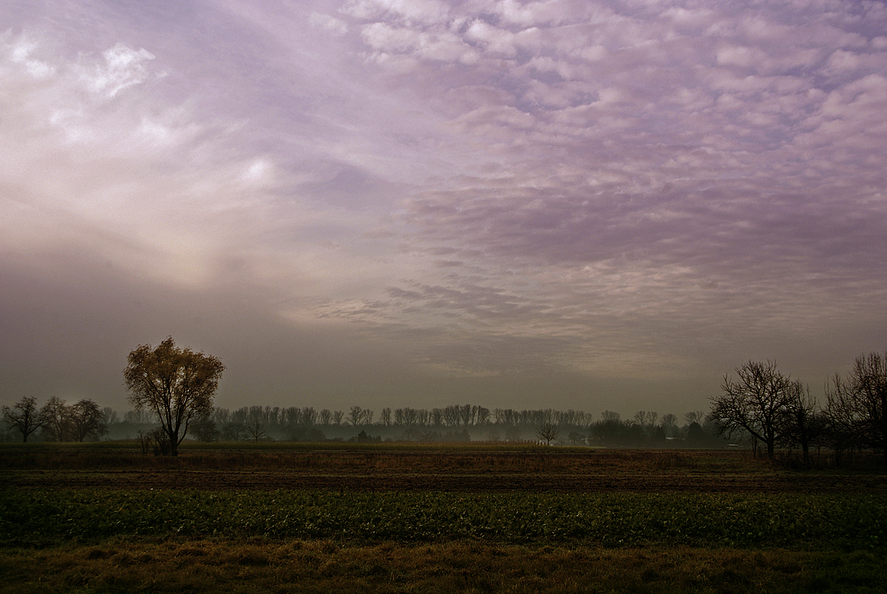 Landschaft im Spätherbst