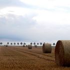 Landschaft im Spätsommer