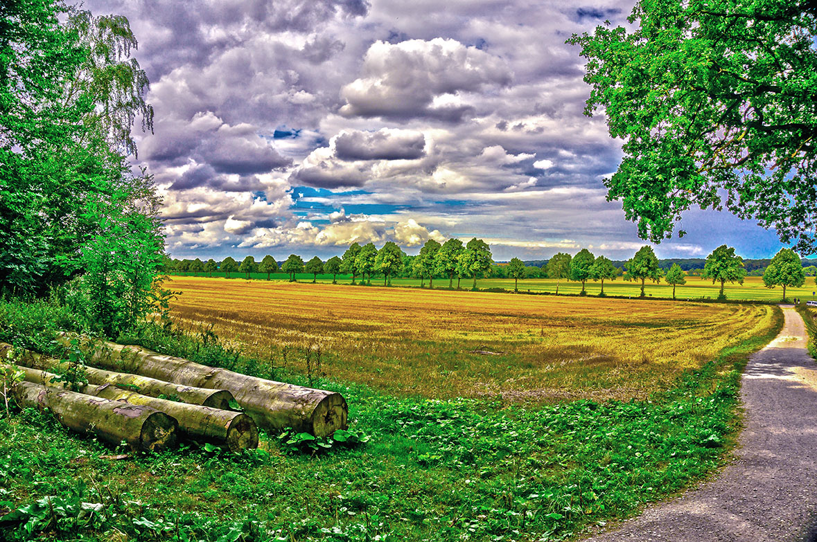 Landschaft im Spätsommer