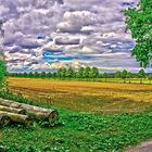 Landschaft im Spätsommer