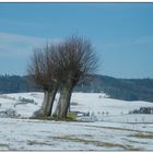 Landschaft im Spätwinter