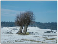 Landschaft im Spätwinter