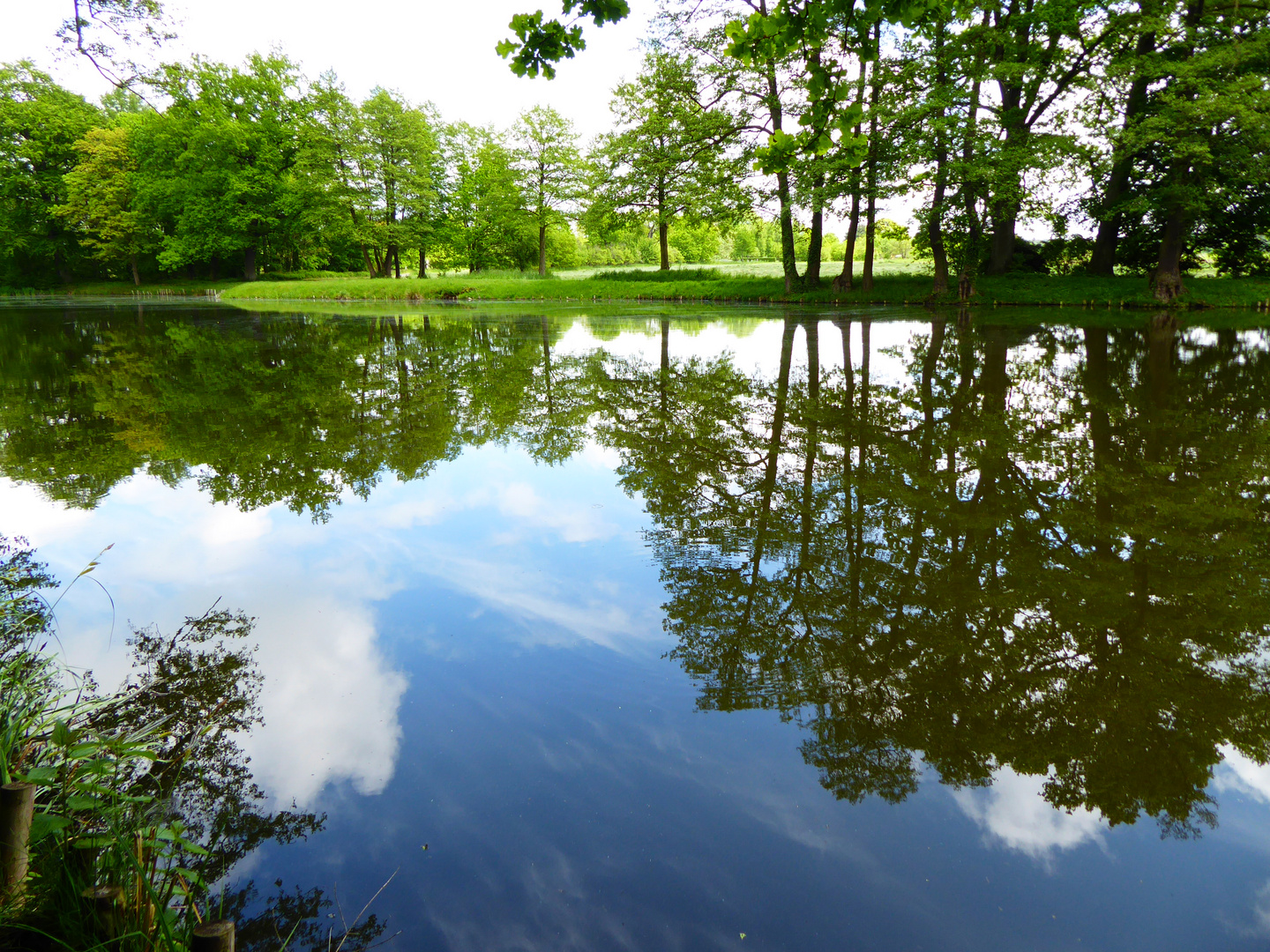 Landschaft im Spiegel