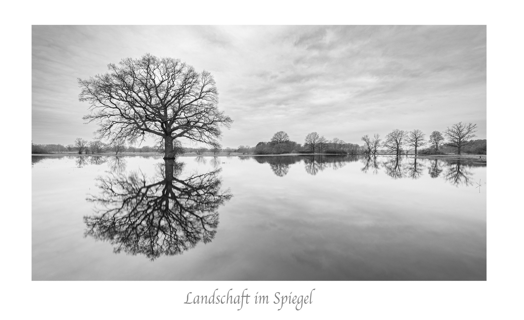 Landschaft im Spiegel