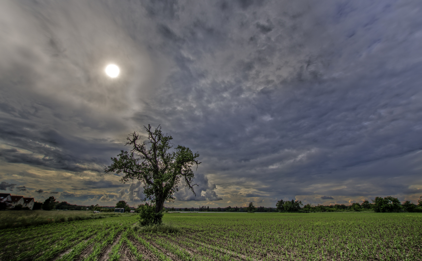 Landschaft im Taunus