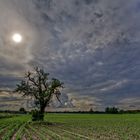 Landschaft im Taunus