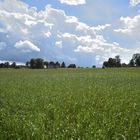 Landschaft im Vogtland 2