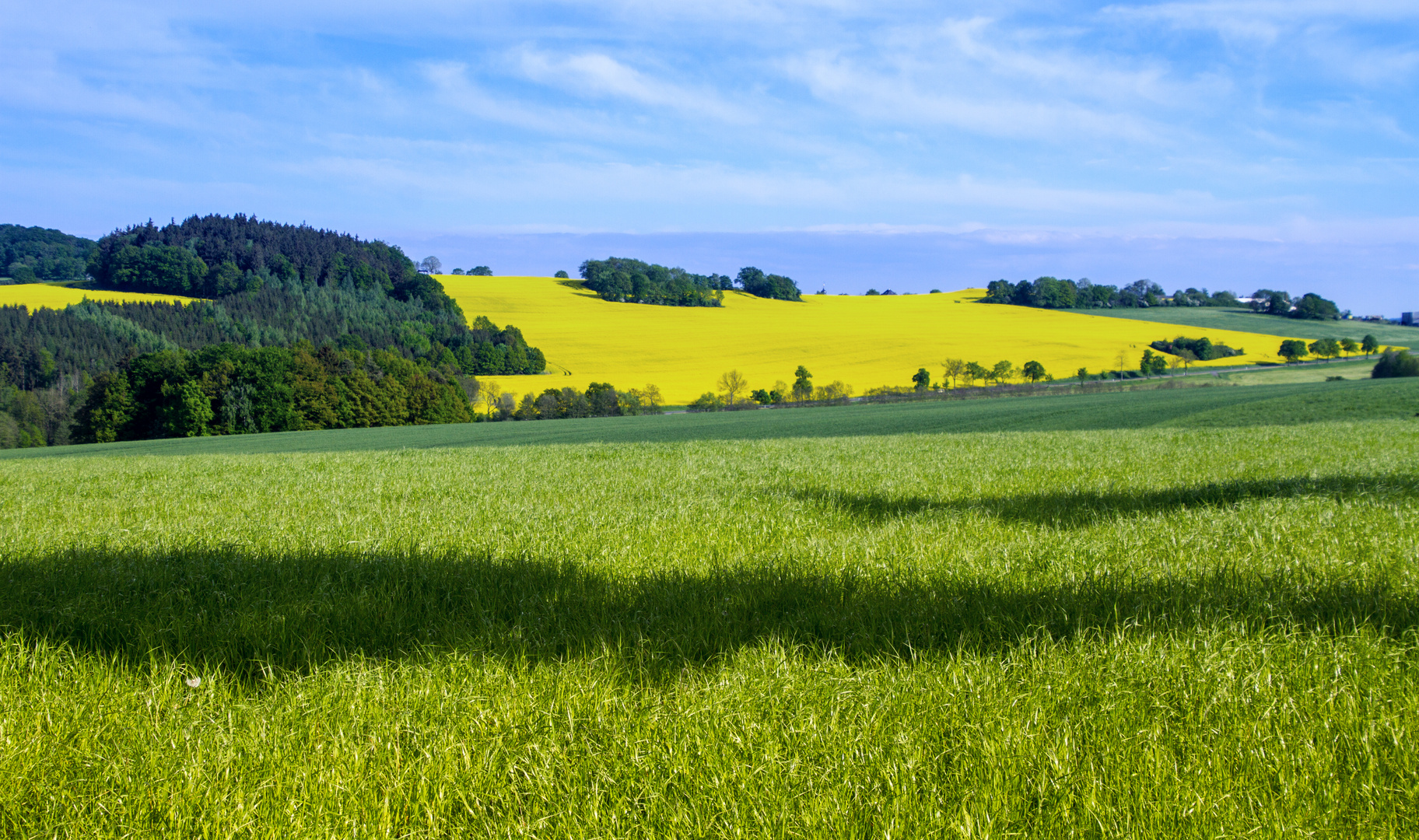 Landschaft im Vogtland