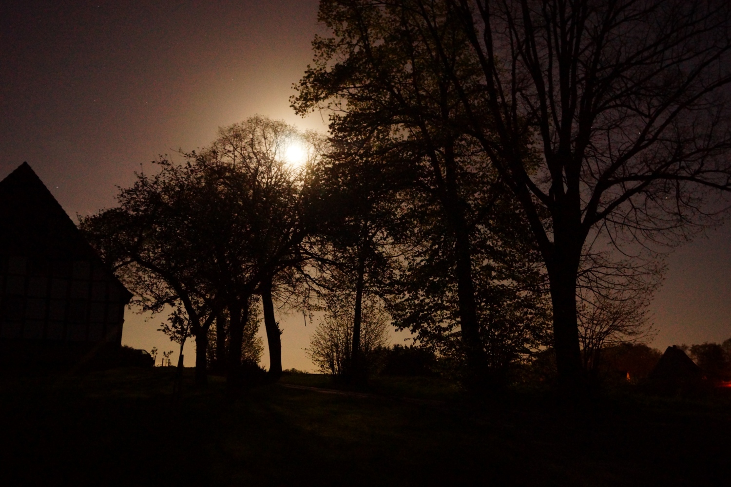 Landschaft im Vollmondlicht