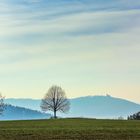 Landschaft im Vorfrühling