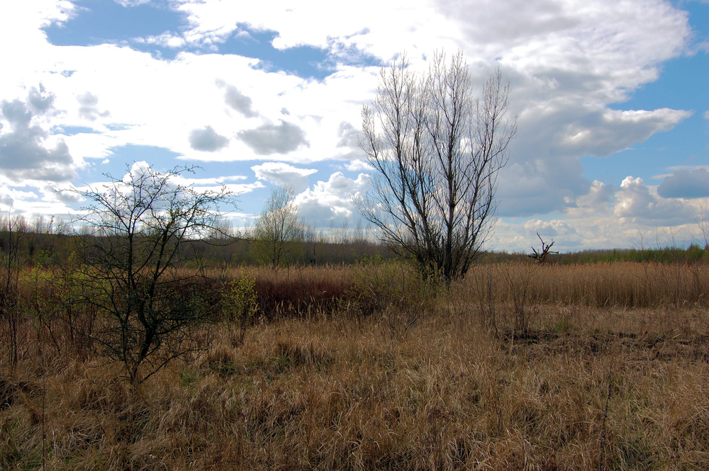 Landschaft im Wandel