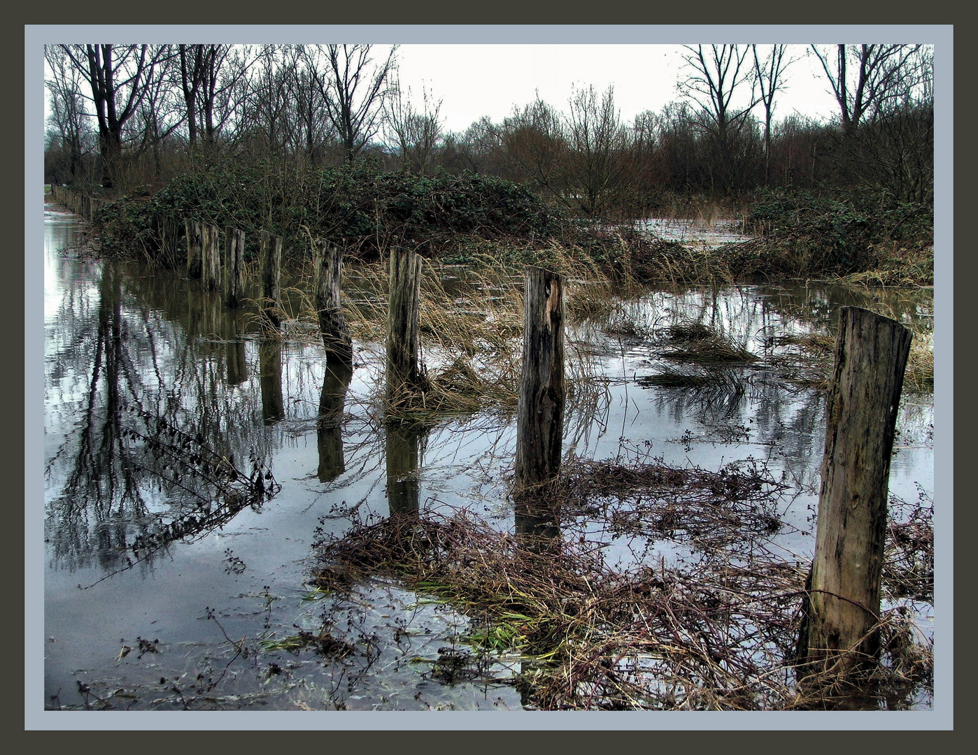 Landschaft im Wasser