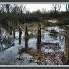 Landschaft im Wasser