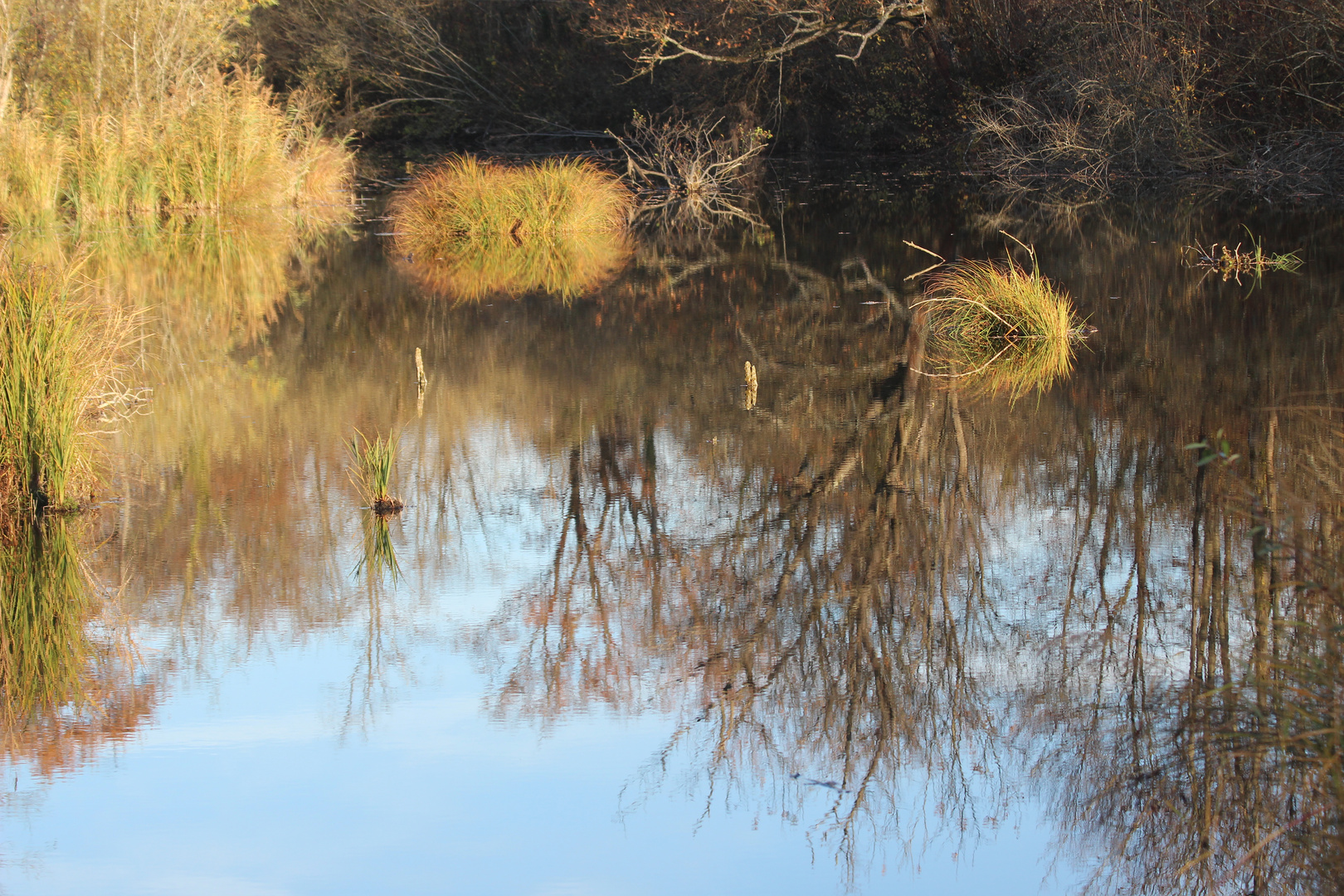 Landschaft im Wasserspiegel