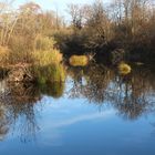 Landschaft im Wasserspiegel