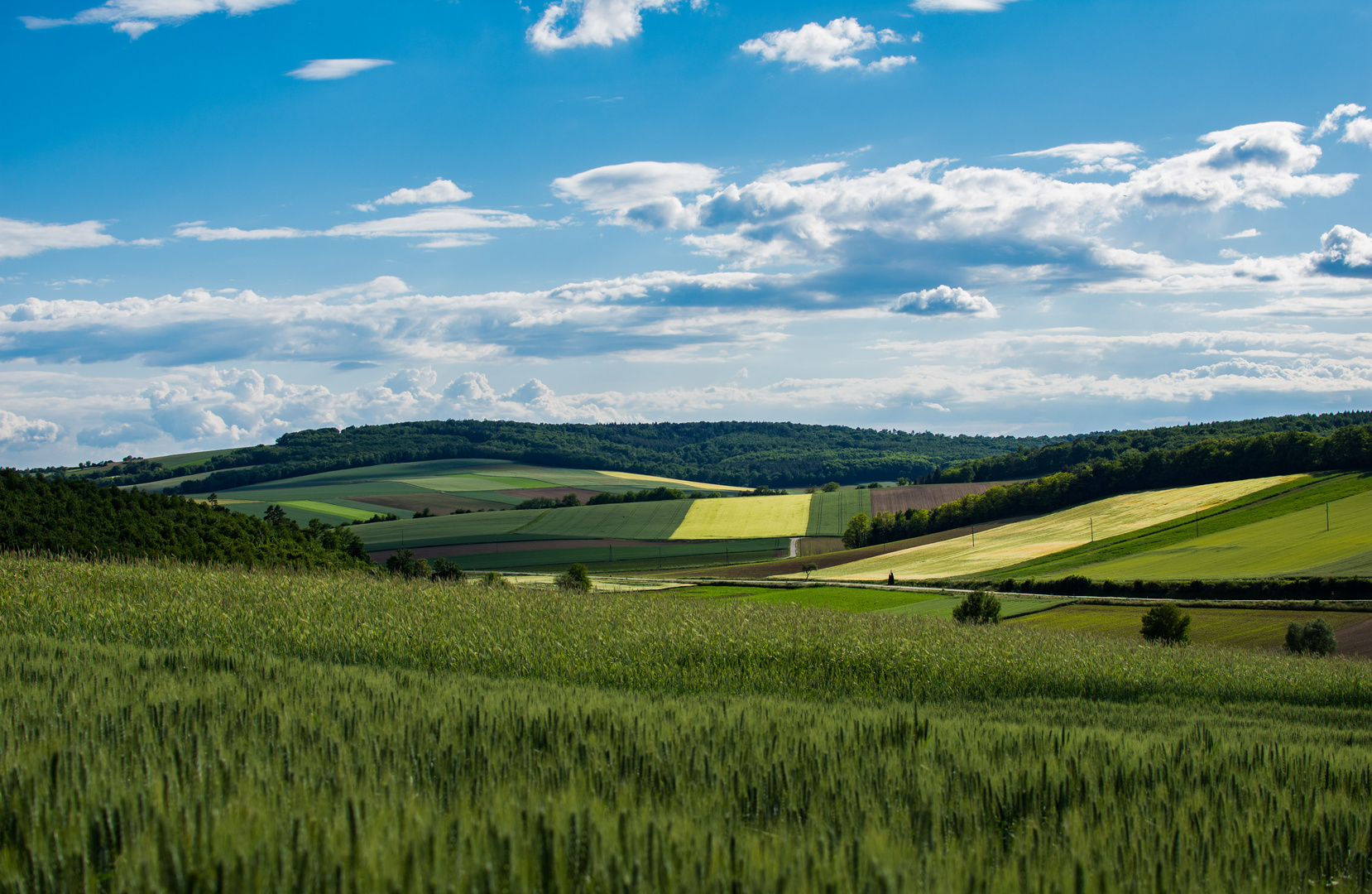 Landschaft im Weinviertel