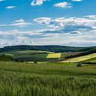 Landschaft im Weinviertel