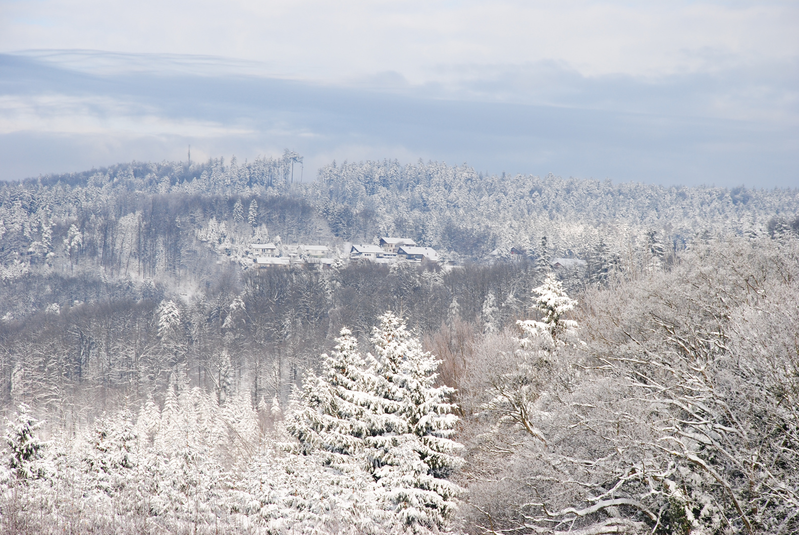 Landschaft im Welzheimer Wald