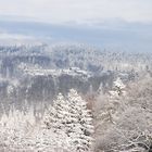 Landschaft im Welzheimer Wald