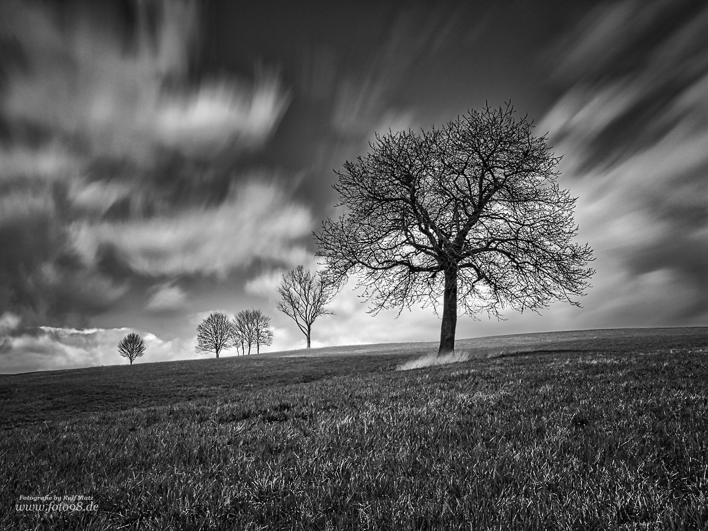 Landschaft im Wind