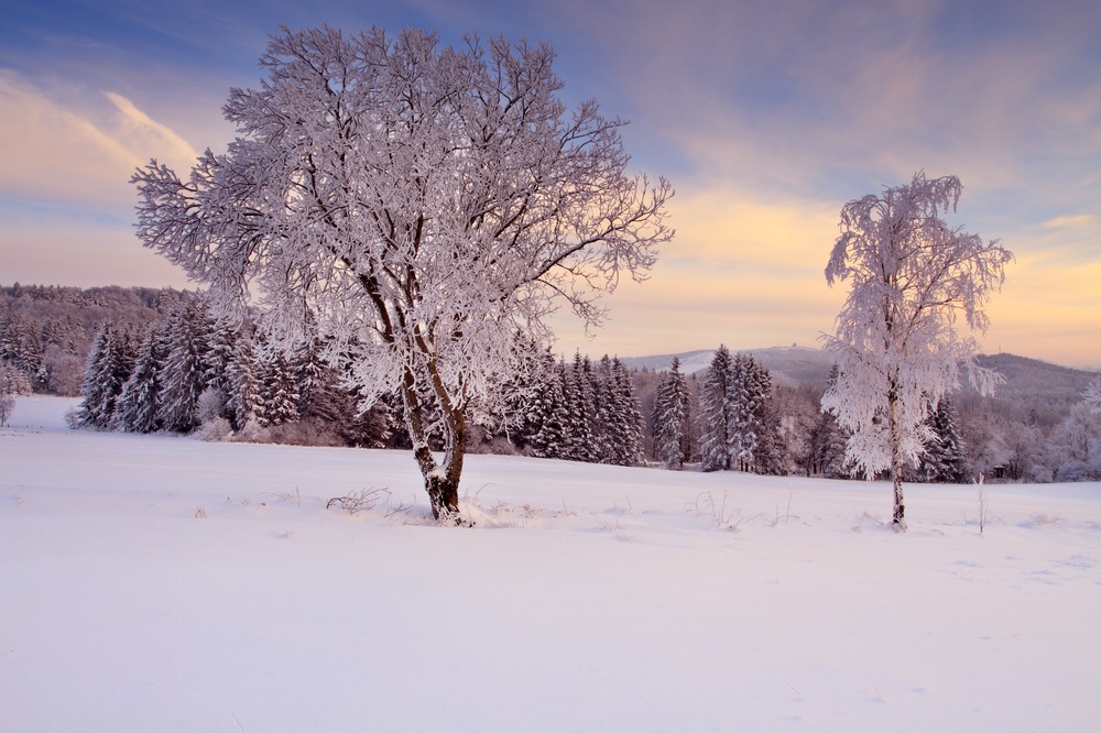 Landschaft im Winderkleid