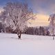 Landschaft im Winderkleid