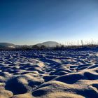 landschaft im winter