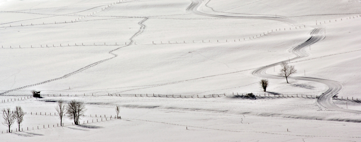 Landschaft im Winter