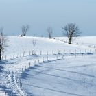 Landschaft im Winter