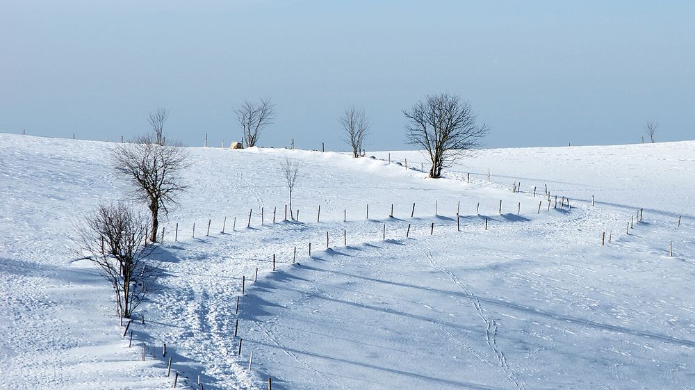 Landschaft im Winter