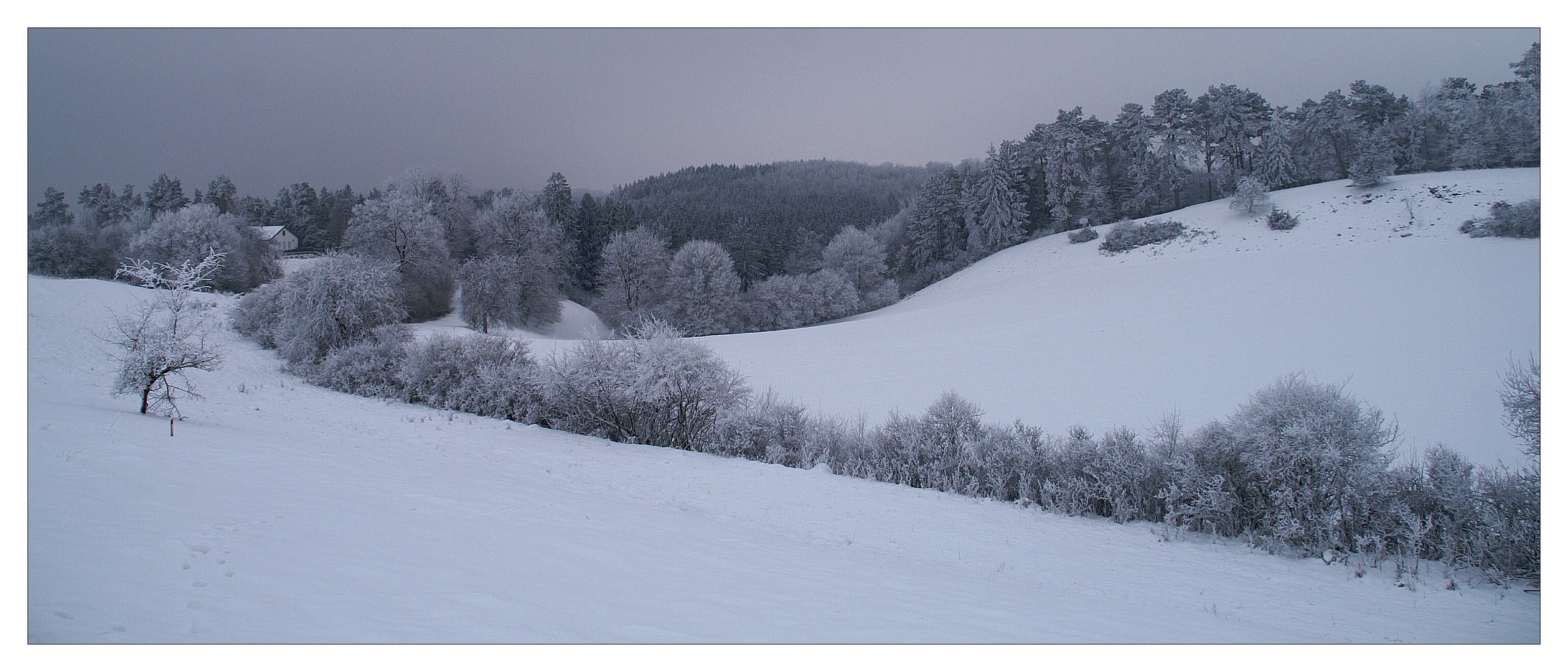 Landschaft im Winter