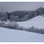 Landschaft im Winter