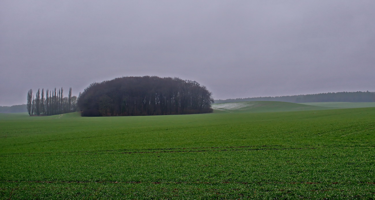 Landschaft im Winter