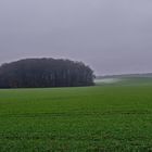 Landschaft im Winter