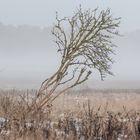 Landschaft im Winter.