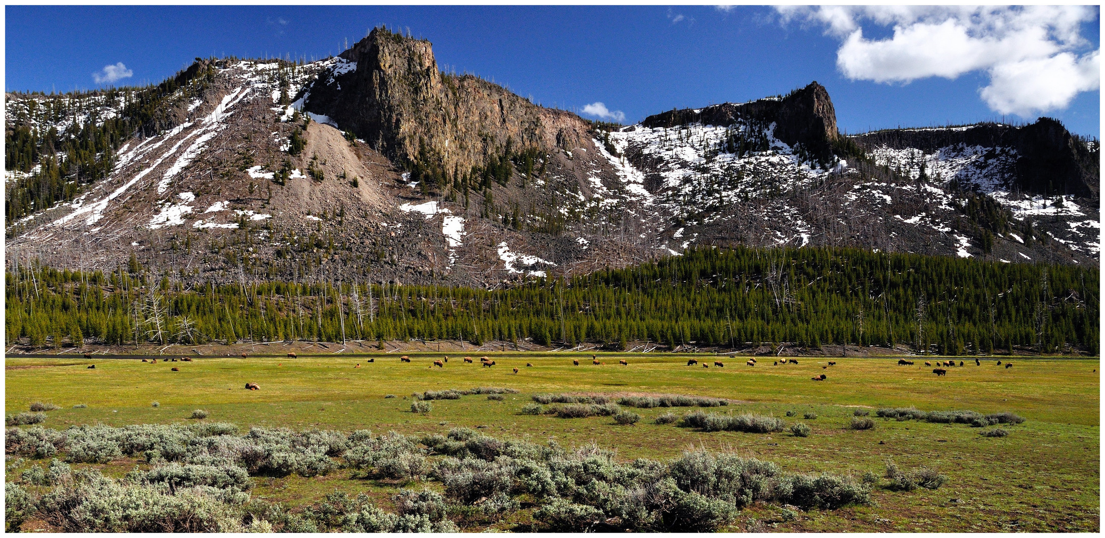 Landschaft im Yellowstone National Park, WY