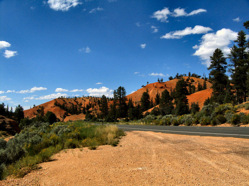 Landschaft im Zion NP