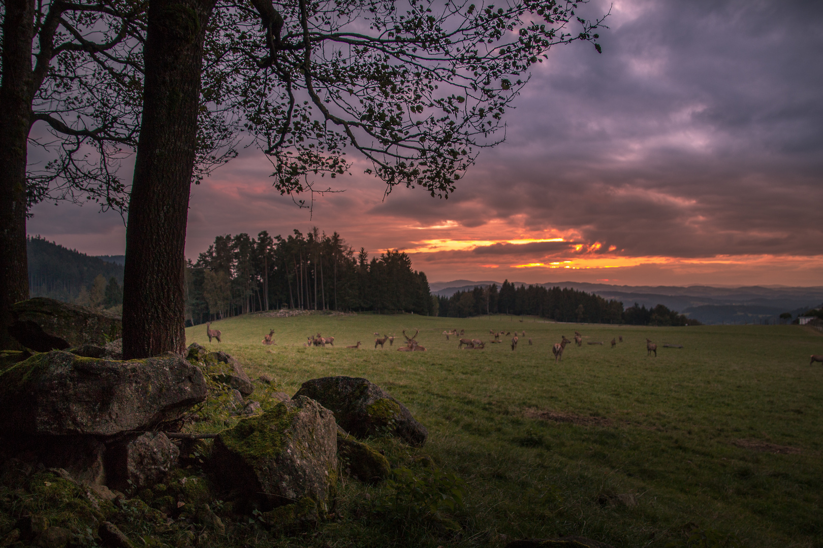 Landschaft in Abendstimmung 