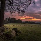 Landschaft in Abendstimmung 