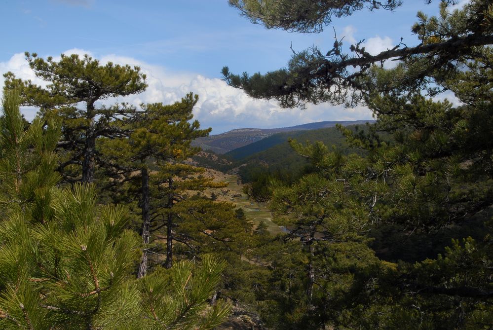 Landschaft in Anatolien