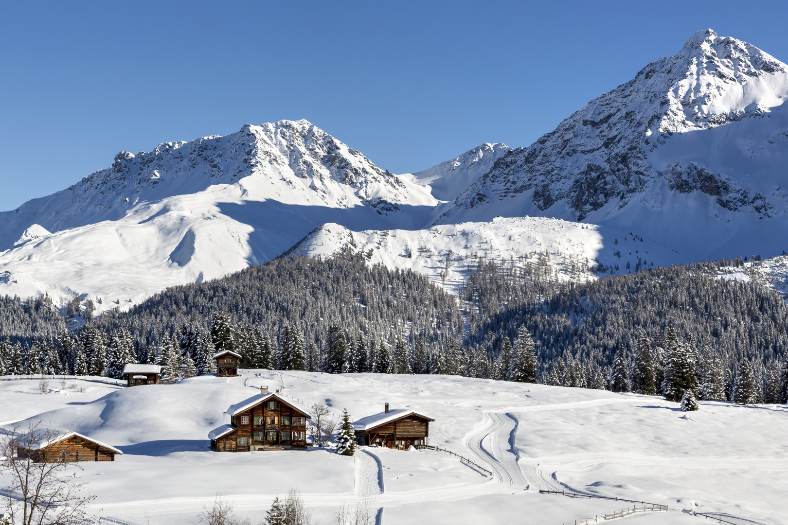 Landschaft in Arosa (Langlauf & Golf) im Winter