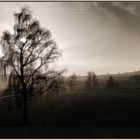 Landschaft in Bayern