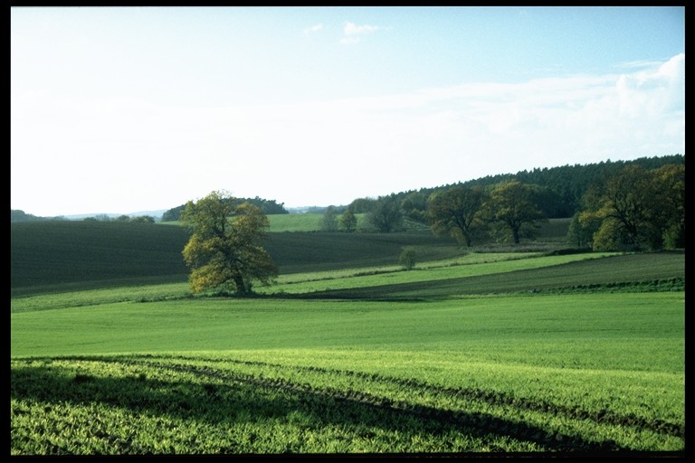 Landschaft in bei Weitendorf/Mecklenburg