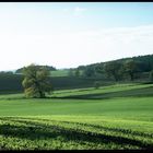 Landschaft in bei Weitendorf/Mecklenburg