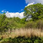 LANDSCHAFT IN BERLIN