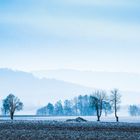 Landschaft in Blau