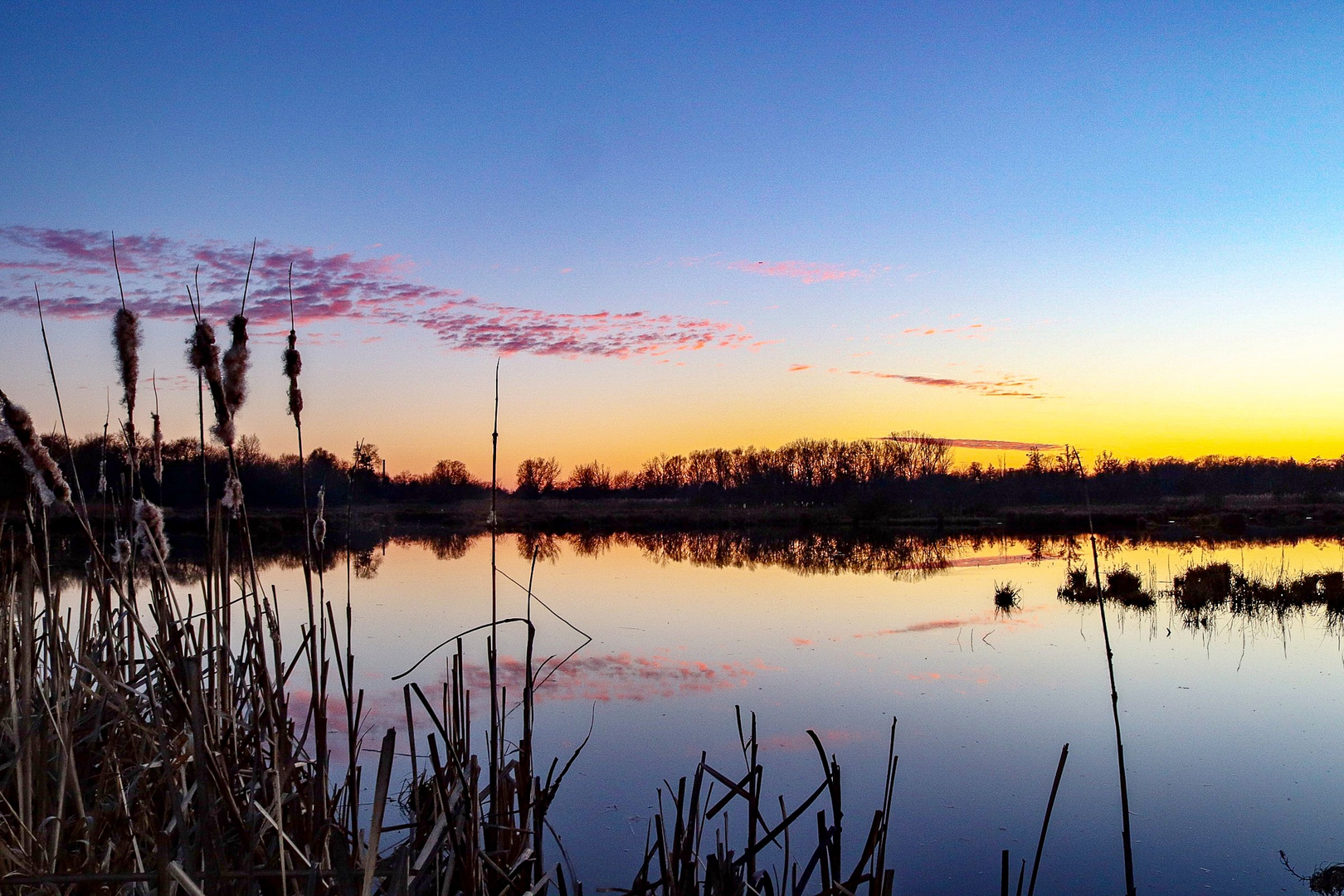 Landschaft in Brandenburg