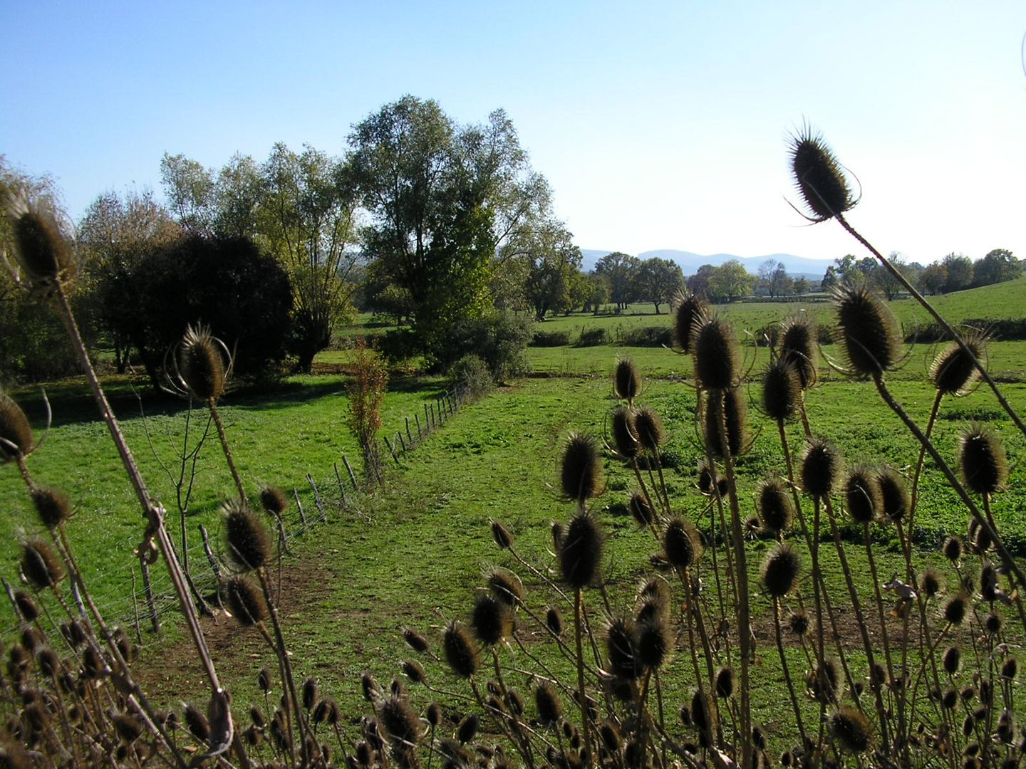 Landschaft in Burgund